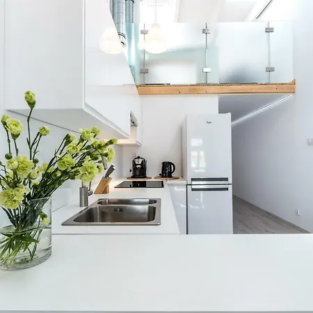 Panorama Twin Loft Superior 公寓