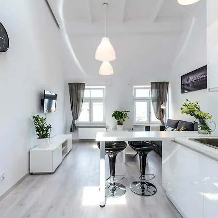 Panorama Twin Loft Superior 波兹南