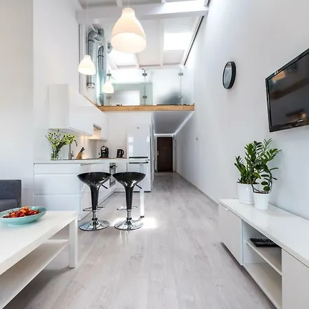 Panorama Twin Loft Superior * 포즈난